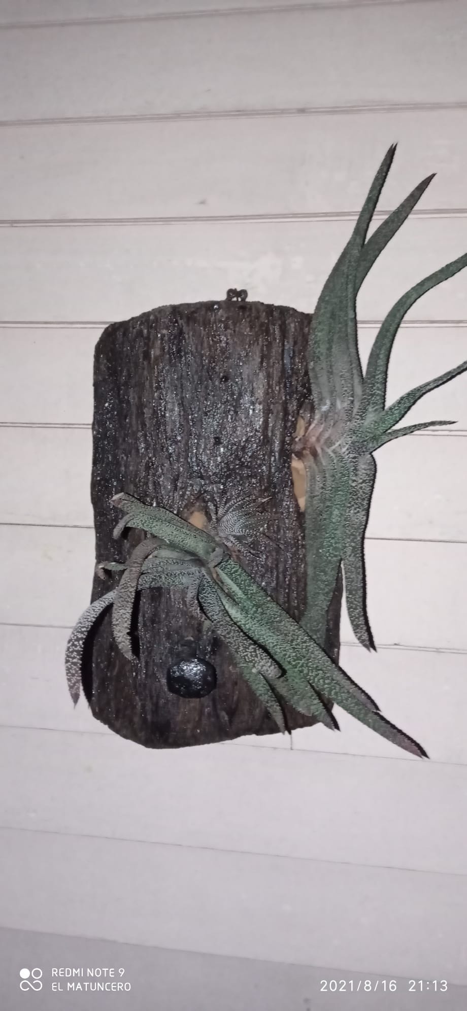 SOLUCIONES JUAN CARLOS Soluciones Juan Carlos  