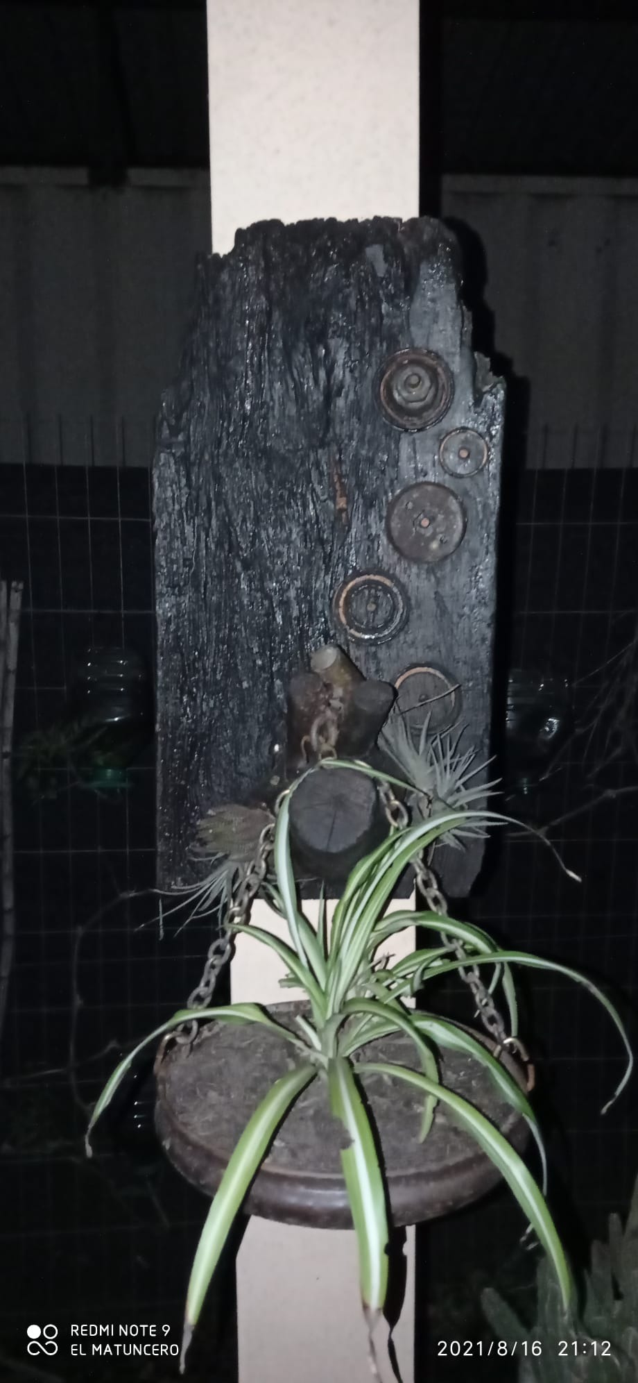 SOLUCIONES JUAN CARLOS Soluciones Juan Carlos  