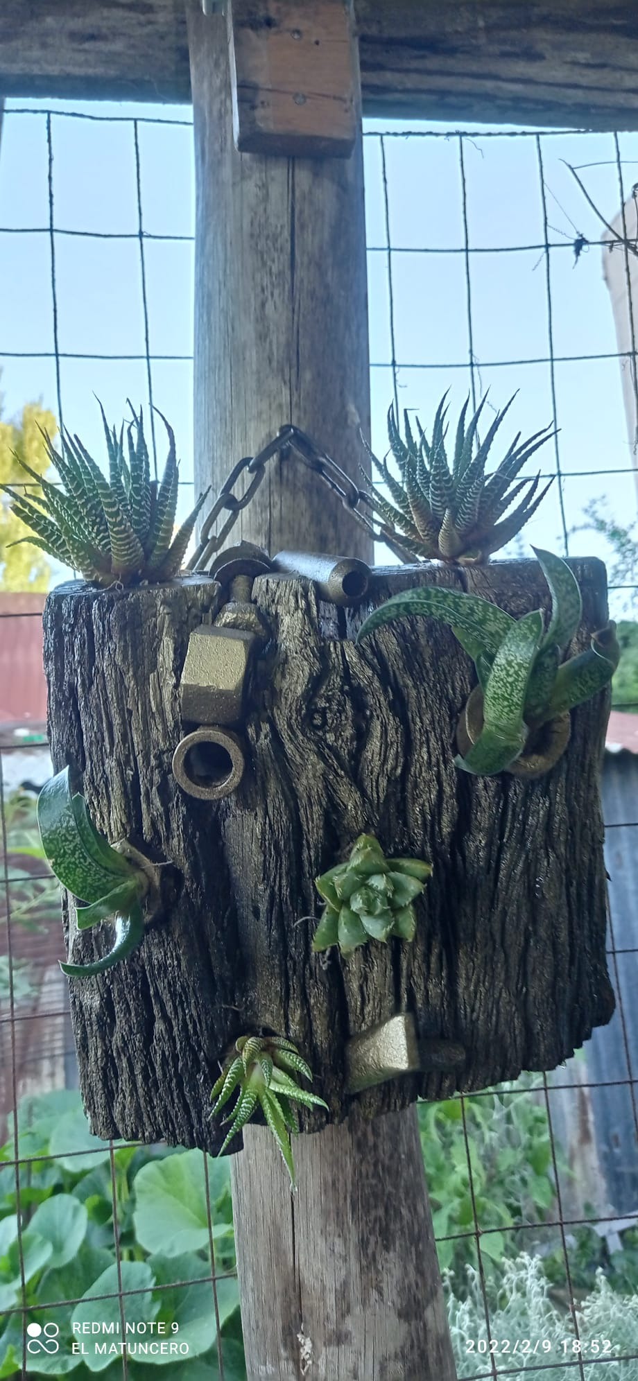 SOLUCIONES JUAN CARLOS Soluciones Juan Carlos  