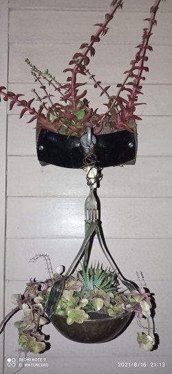 SOLUCIONES JUAN CARLOS Soluciones Juan Carlos 