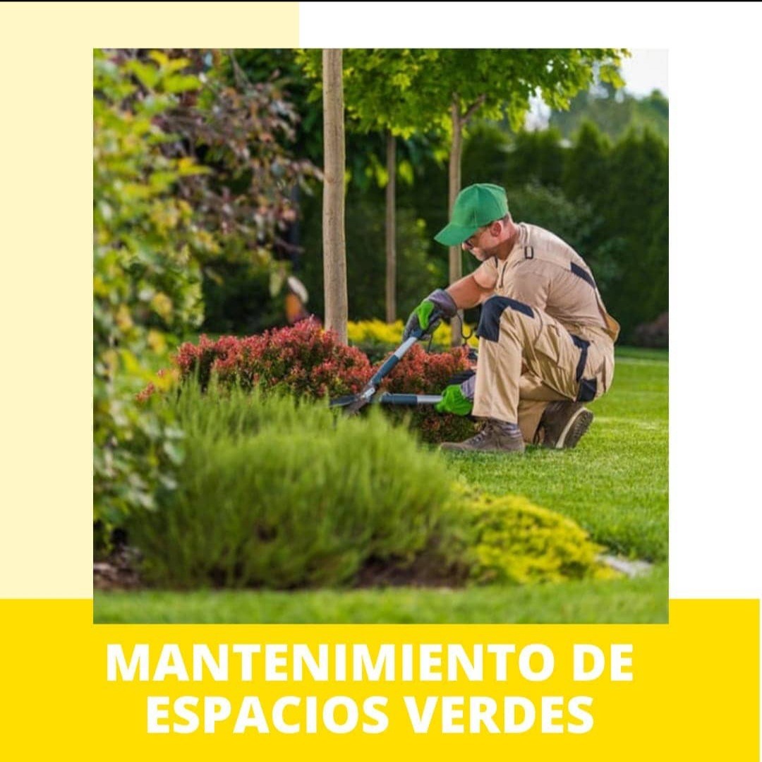 MARIO BONDIUK Mantenimiento de espacios verdes 
