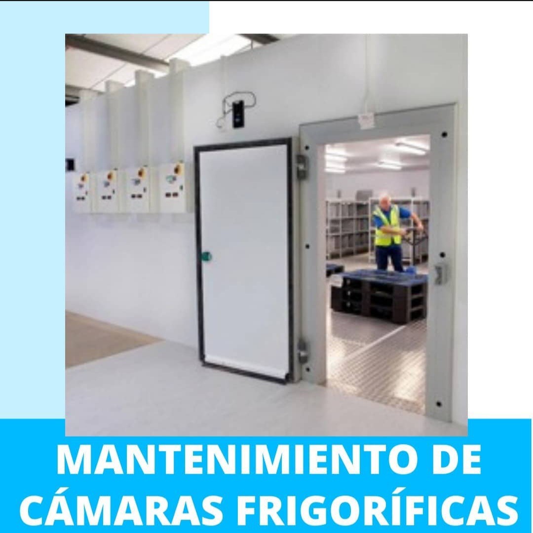 MARIO BONDIUK Mantenimiento de cámaras frigoríficas 