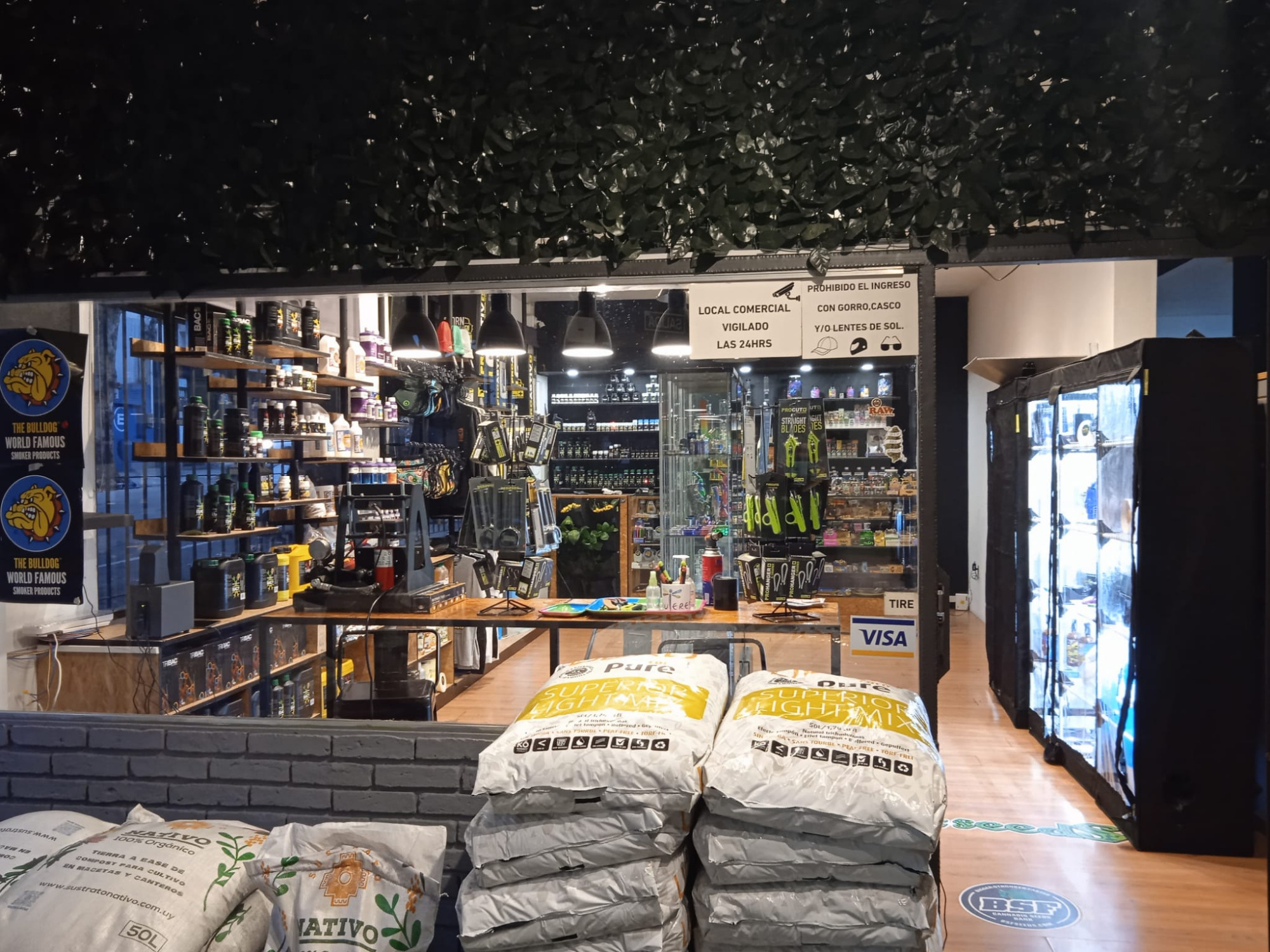 MEDIAGROW MONTEVIDEO Interior 3 Media Grow grow shop montevideo centro