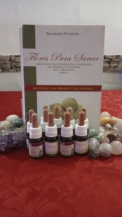 PAOLA ACOSTA Psicoterapia integrativa