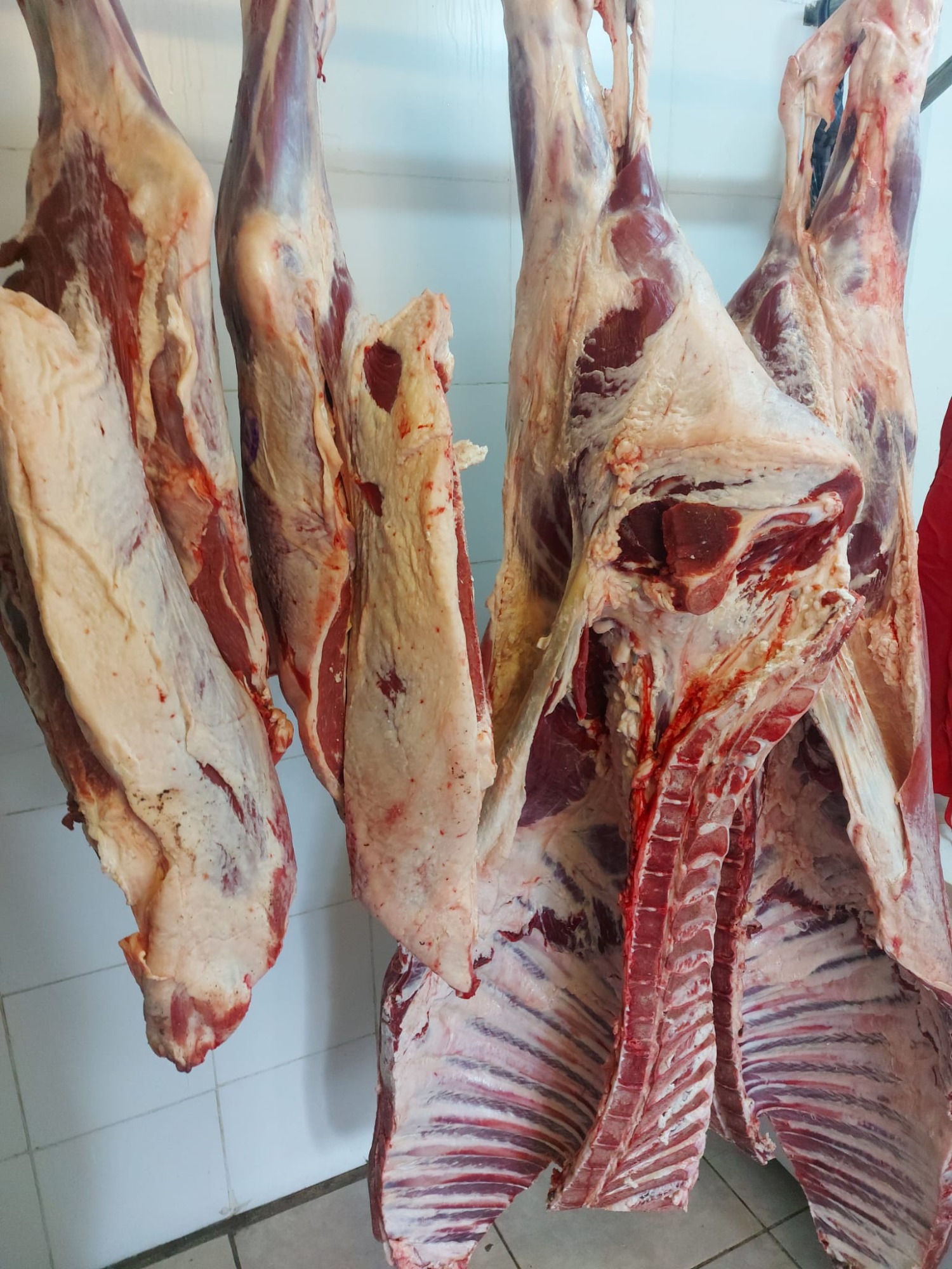 Carnicería Los Muchachos  