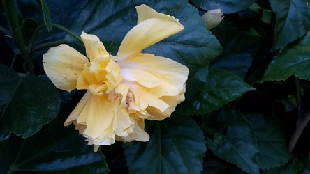 AGROPECUARIA CENTRO VERDE 