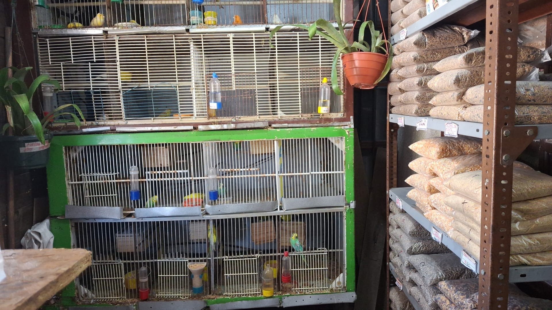 PET LANDIA PET´S LANDIA PET SHOP
ALIMENTOS PARA MASCOTAS
VENTA DE MASCOTAS