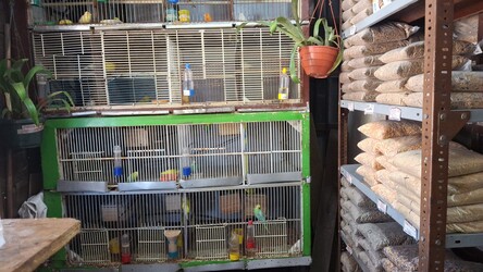 PET LANDIA PET´S LANDIA