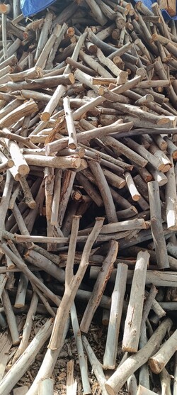 LEÑERIA 5 FUEGOS LEÑERIA 5 FUEGOS