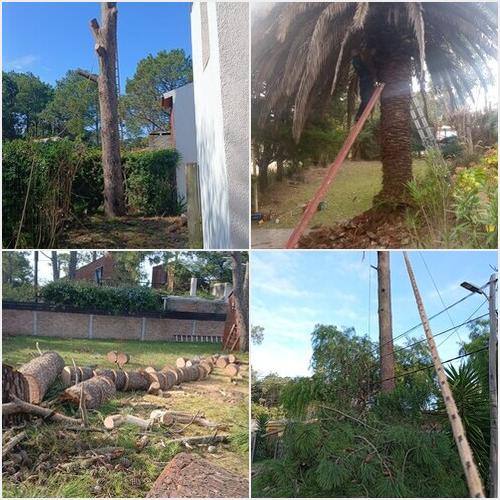 IVAN GONZÁLEZ- Servicios IVAN GONZÁLEZ