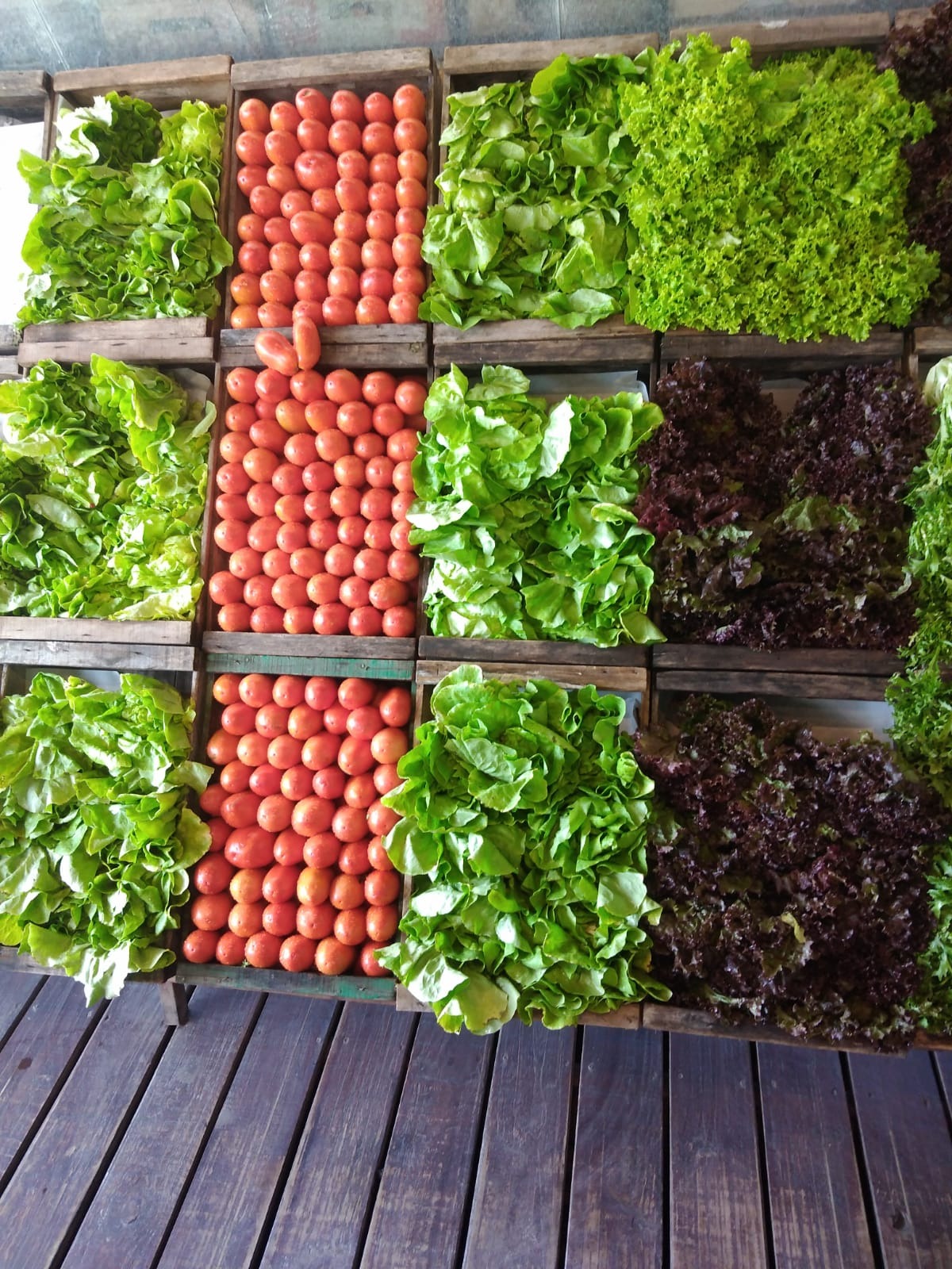 MERCADO VIENTOS DEL SUR  