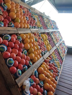 MERCADO VIENTOS DEL SUR 