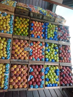 MERCADO VIENTOS DEL SUR 