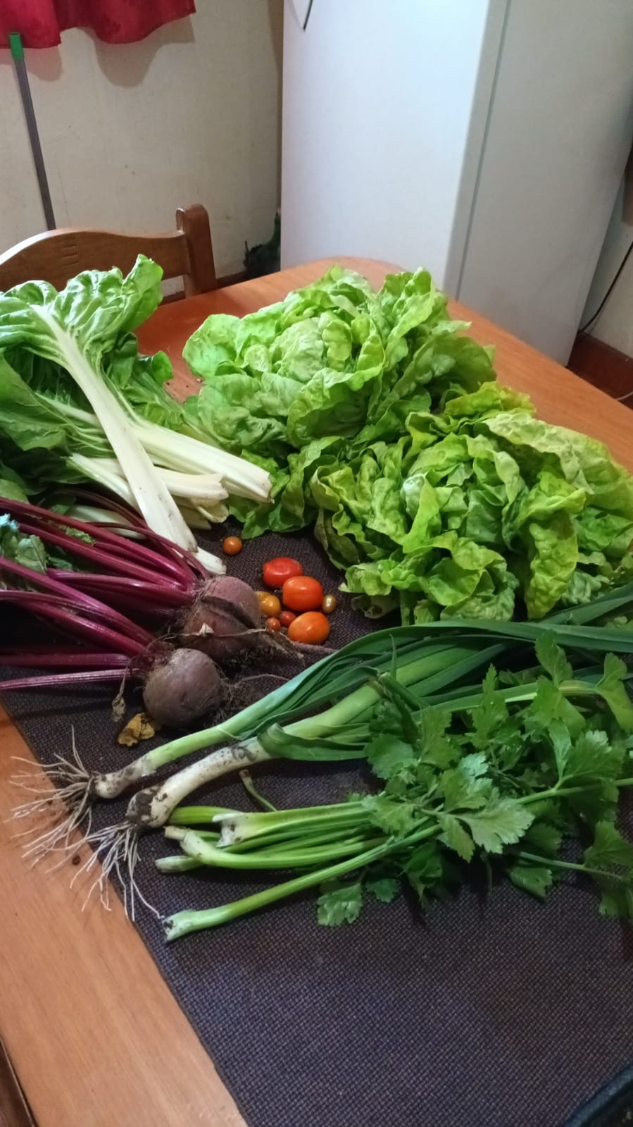 PATIO DE COMIDAS TANIA  