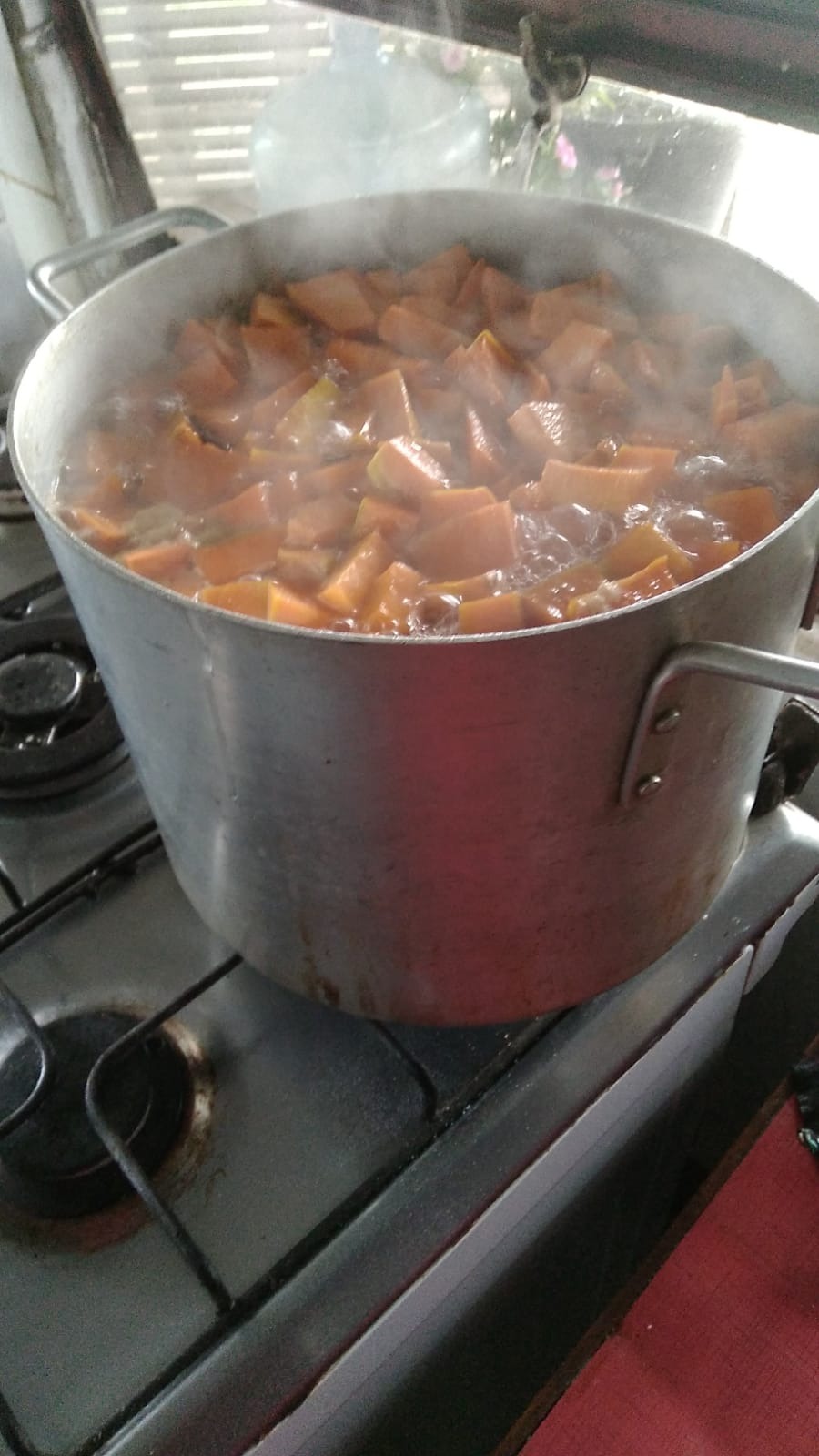 PATIO DE COMIDAS TANIA  