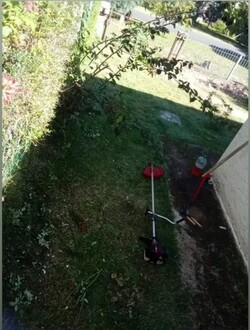 ECO VERDE JARDINERÍA 