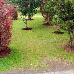 ECO VERDE JARDINERÍA 