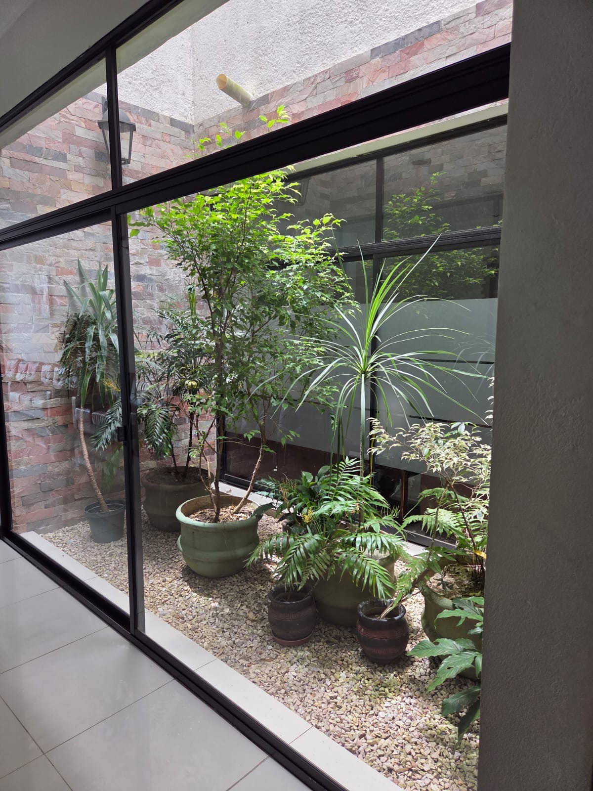 Empresa Fúnebre Grupo Palmares  