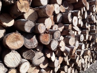 LEÑERA CARRASCO Astilla seca 