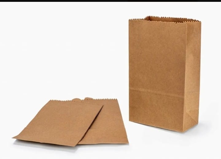 DESCARTABLES UY Bolsas de papel para bizcochos, panes, etc 