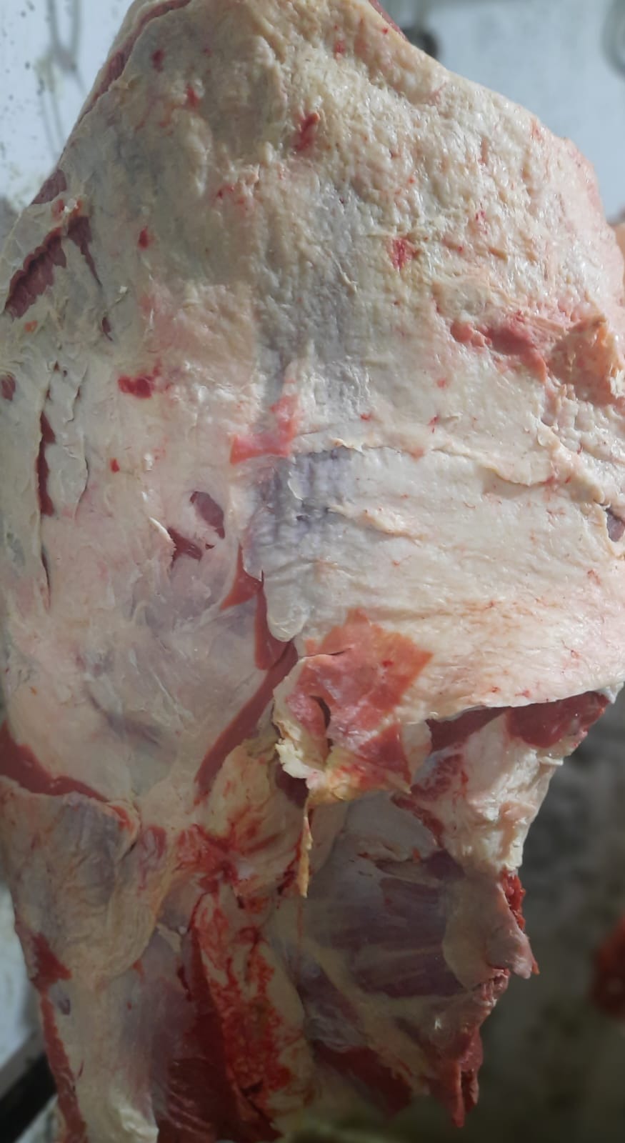 RECLALU SUPERMERCADO  