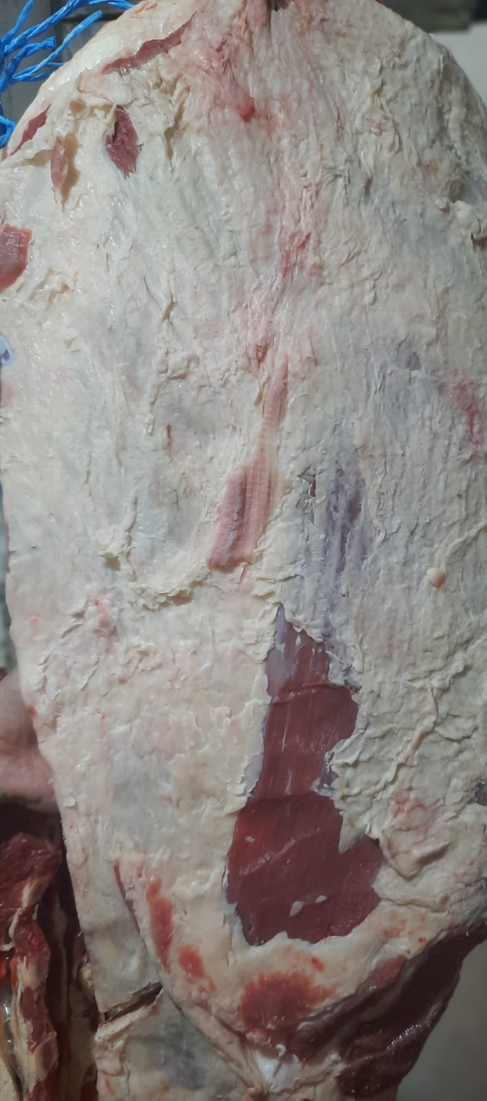 RECLALU SUPERMERCADO  