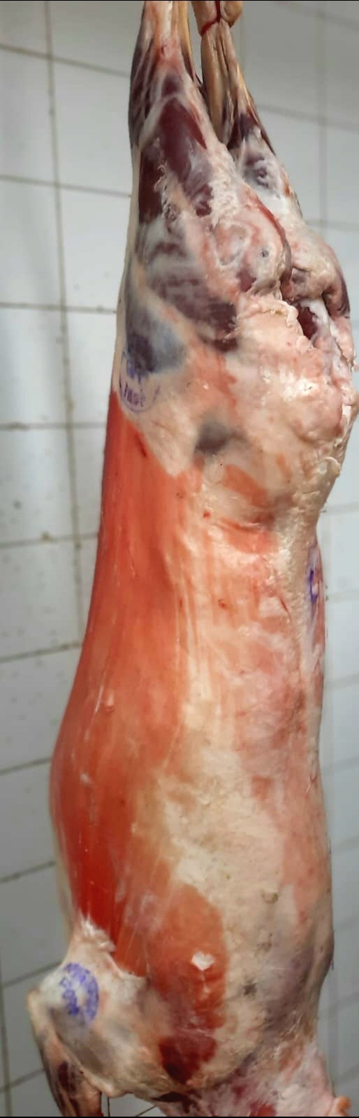 RECLALU SUPERMERCADO  