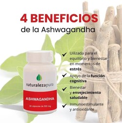 CASA NATURISTA FLOR DE SEMILLA 