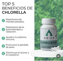 CASA NATURISTA FLOR DE SEMILLA 