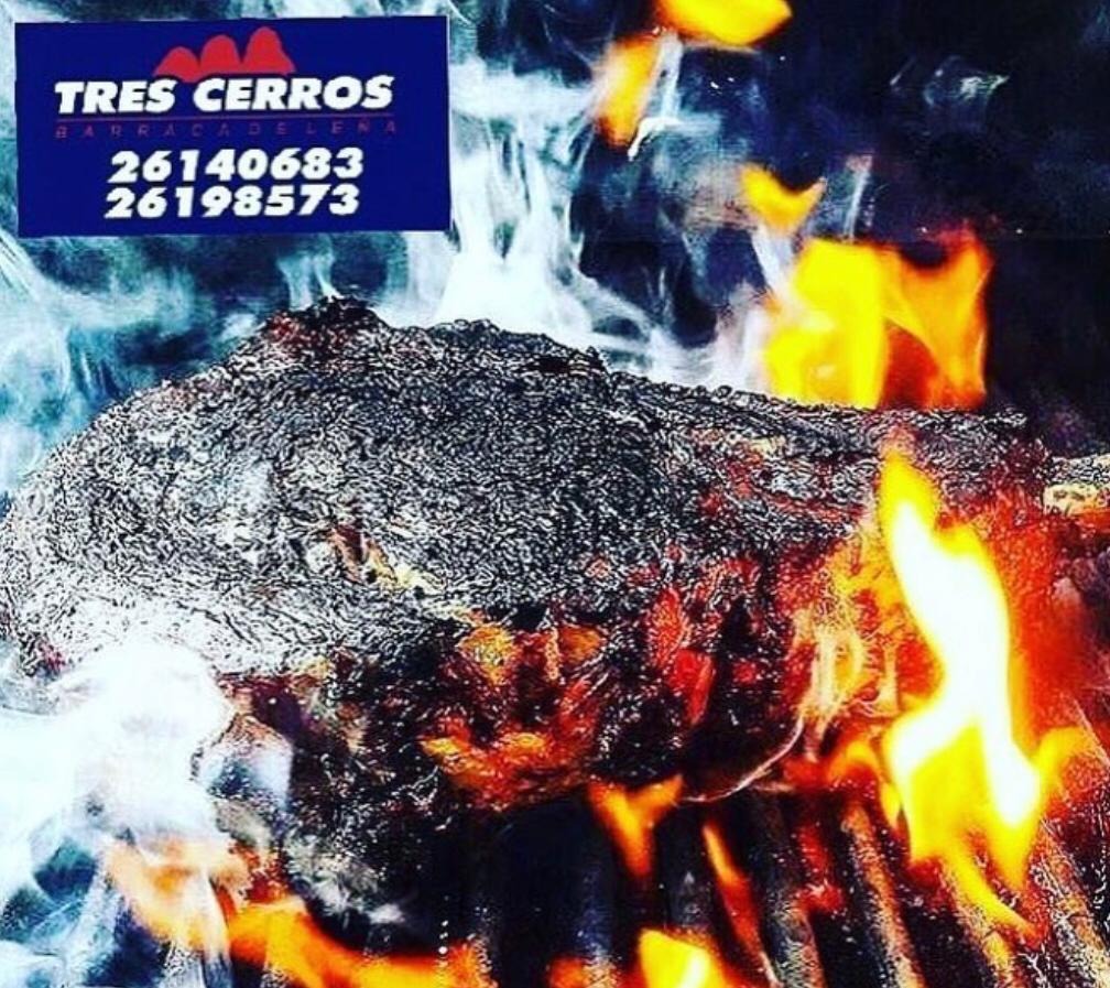 BARRACA DE LEÑA TRES CERROS Leñeria Montevideo Barraca de leña Tres Cerros 