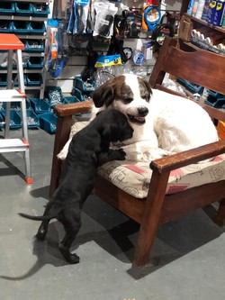 Ferretería Ferrobasso 2 