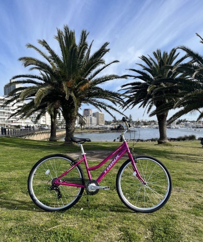 GIRO 21 GIRO 21  Almacén y taller de bicicletas