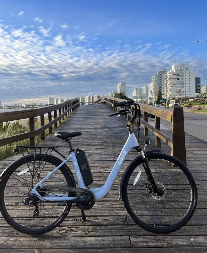 GIRO 21 GIRO 21  Almacén y taller de bicicletas