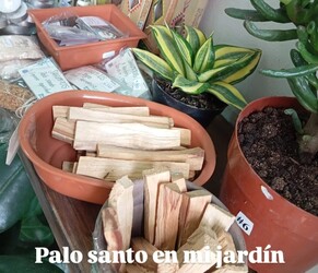 EL JARDÍN DE LA ABUELA VIVERO 