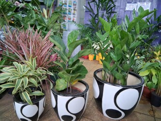 EL JARDÍN DE LA ABUELA VIVERO 