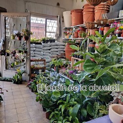 EL JARDÍN DE LA ABUELA VIVERO 