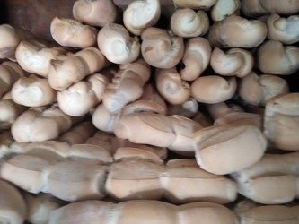 PANADERIA LOS HERMANOS 