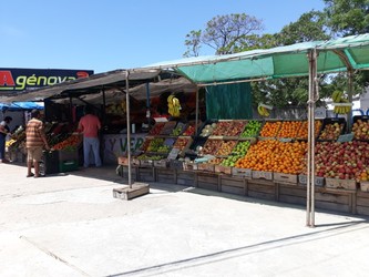PUESTO GENOVA 