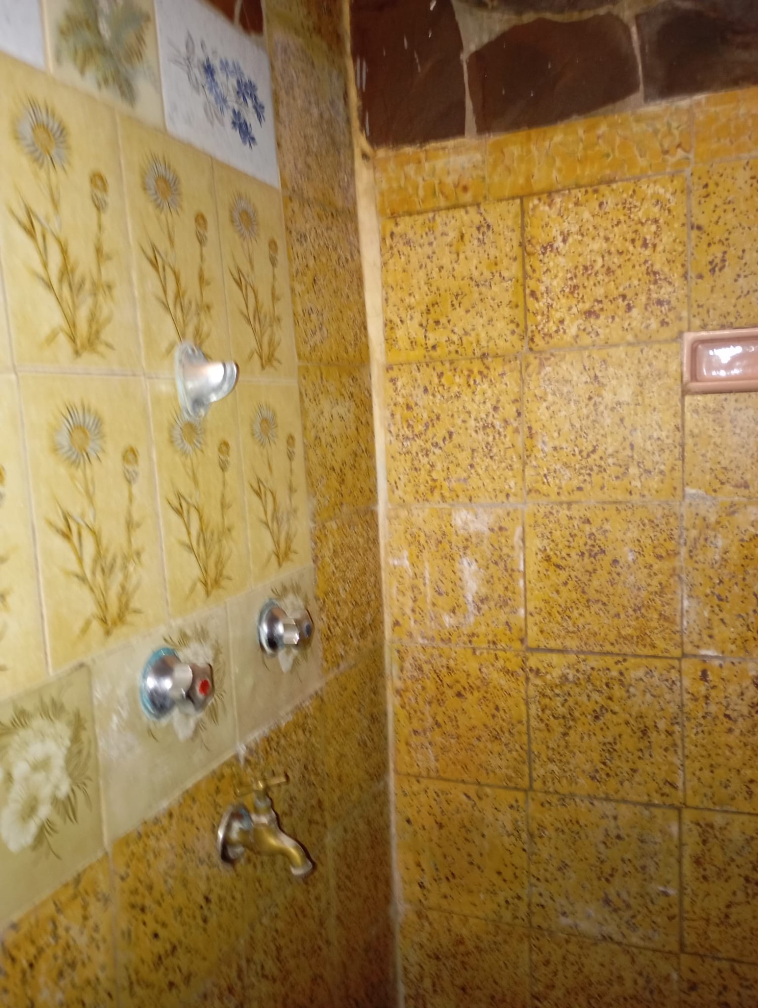 INMOBILIARIA LORENA LA PAZ  