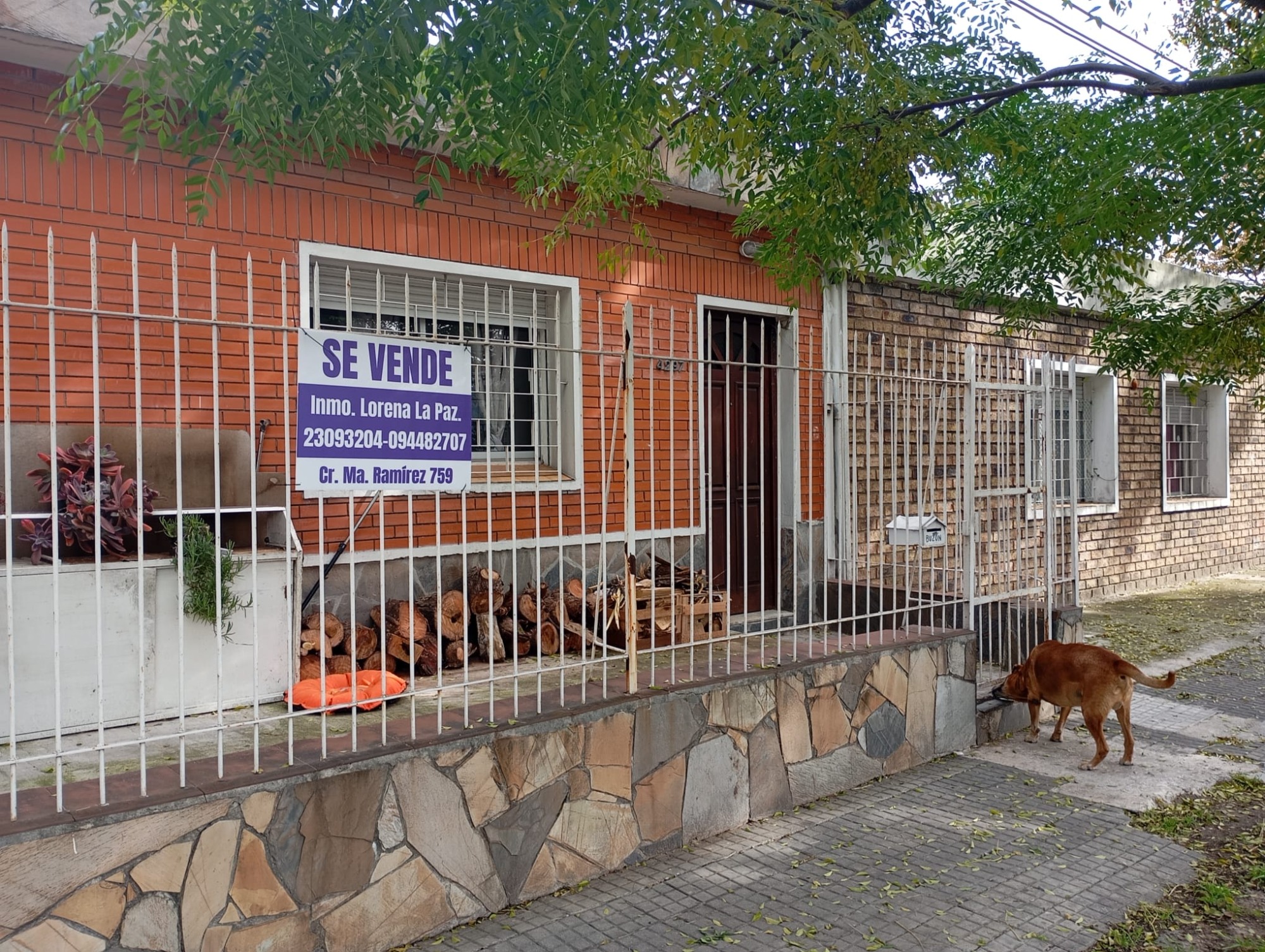 INMOBILIARIA LORENA LA PAZ  