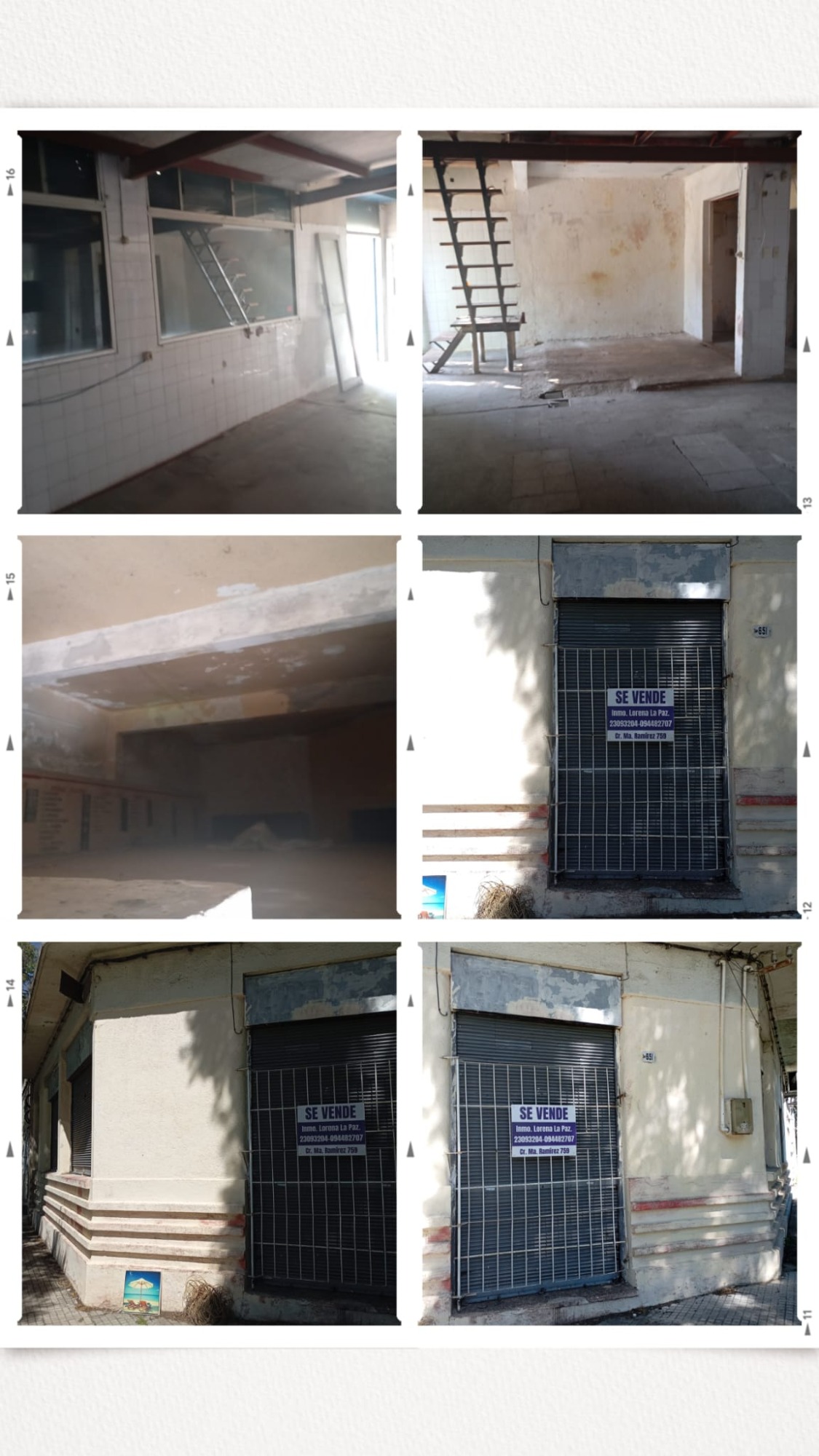 INMOBILIARIA LORENA LA PAZ  