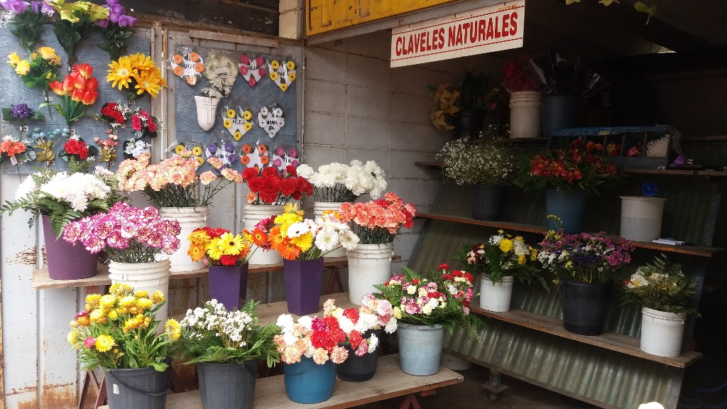 FLORERIA MODELO MARMOLERIA  