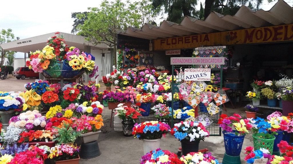 FLORERIA MODELO MARMOLERIA  