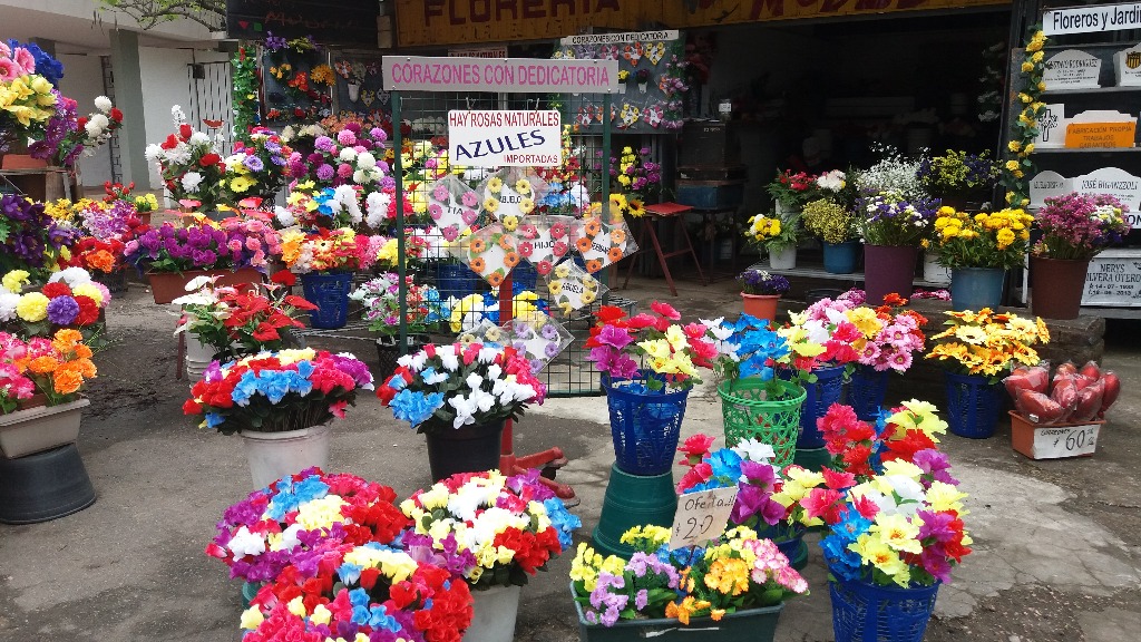 FLORERIA MODELO MARMOLERIA  