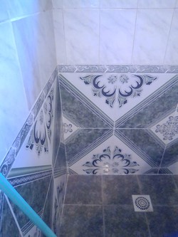 OFICIAL SANITARIO BRUNO 