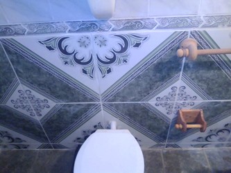 OFICIAL SANITARIO BRUNO 