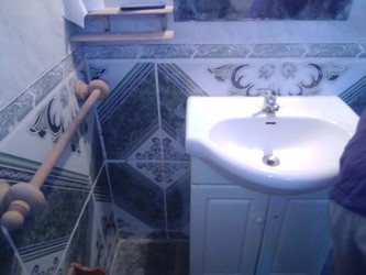 OFICIAL SANITARIO BRUNO 