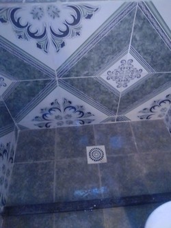 OFICIAL SANITARIO BRUNO 