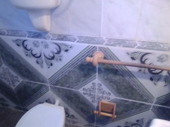 OFICIAL SANITARIO BRUNO 