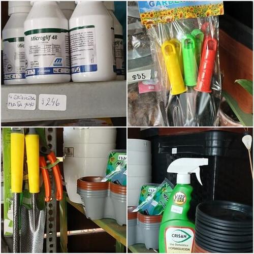 Todo para tu jardin! El Jardín de Gaby